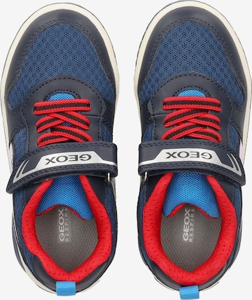 GEOX Sneakers in Blue