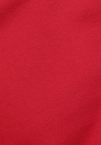 FRUIT OF THE LOOM Sweatshirt in Red
