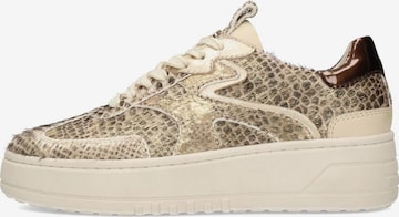 Baskets basses 'AURELIE' Haboob en or : devant