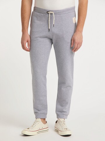 SOMWR Regular Pants 'Sapwood' in Grey: front