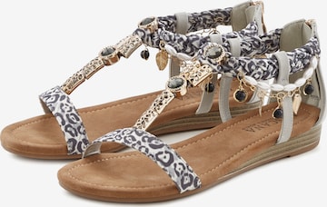 LASCANA Sandalen met riem in Grijs