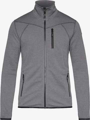 pilka ICEPEAK Funkcinis flisinis džemperis 'BERTHOLD': priekis