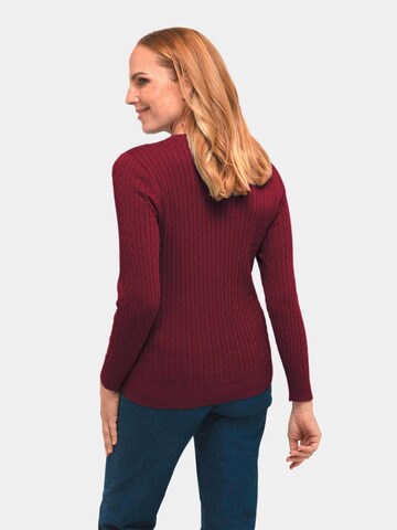 Goldner Pullover in Rot