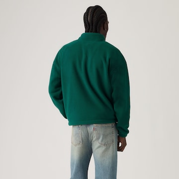 LEVI'S ® Sweater 'REDWOOD' in Green