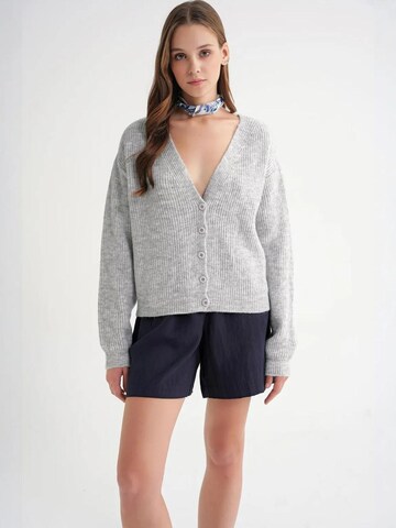 MixRay Knit Cardigan in Grey