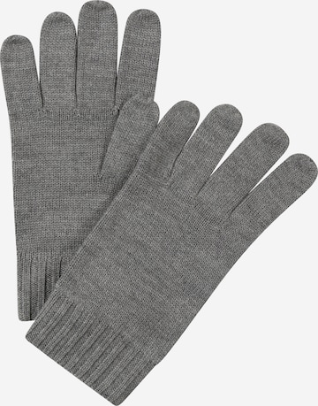 Polo Ralph Lauren Full Finger Gloves in Grey: front