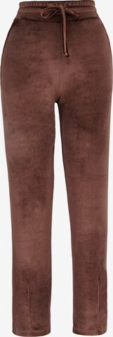 Regular Pantalon FRESHLIONS en marron : devant