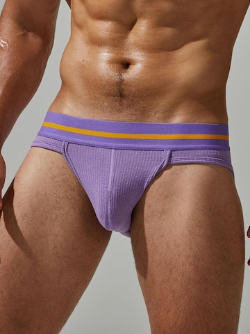 TAUWELL Panty in Purple: front