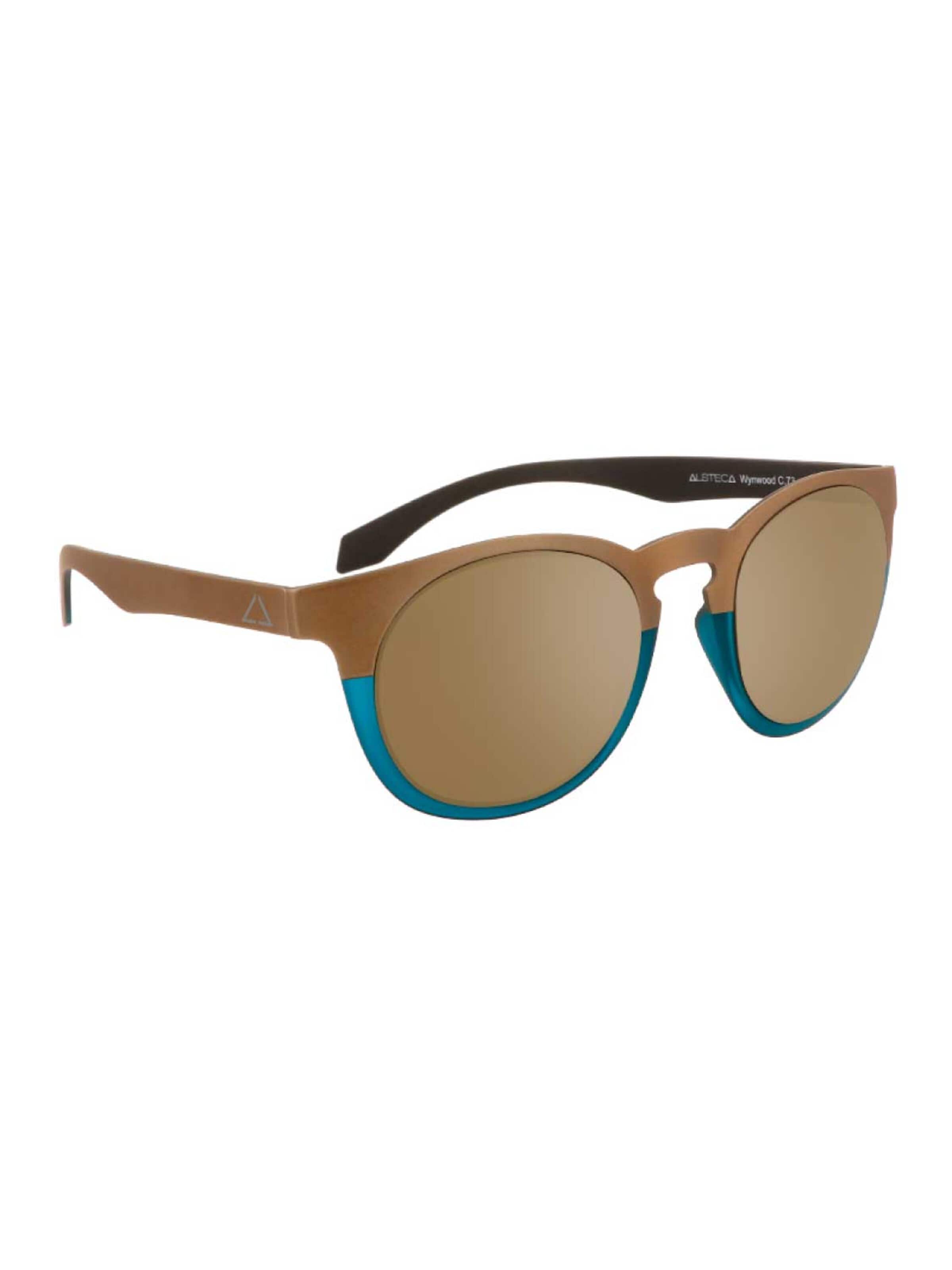 Alsteca Sunglasses 'Wynwood C73' in Brown