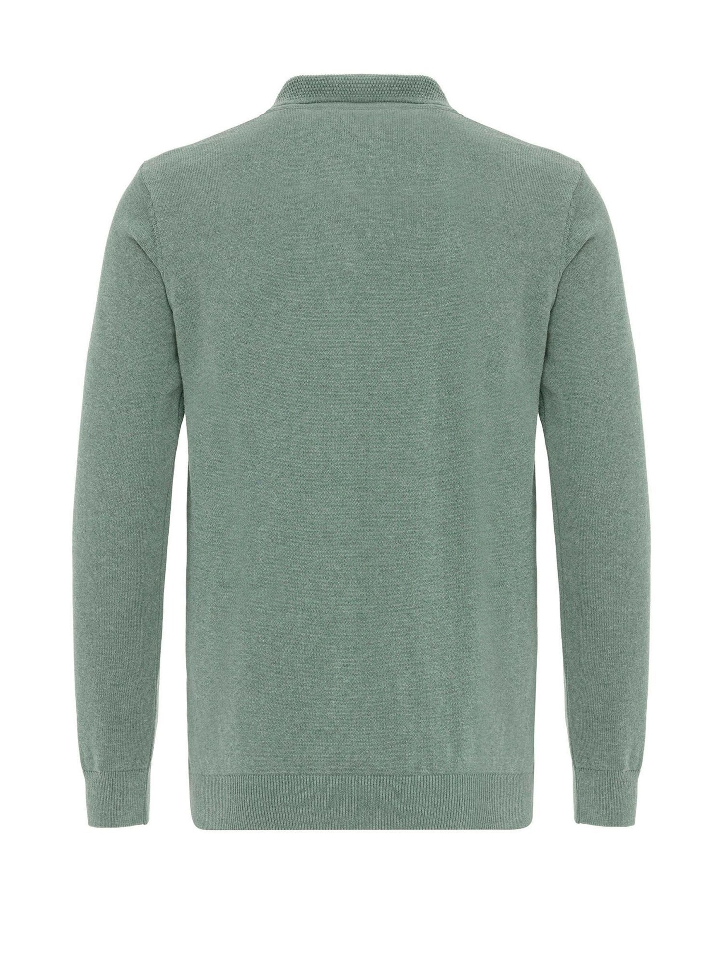 Williot Pullover in Grün