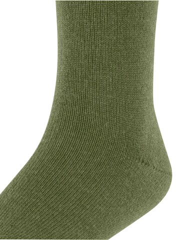 FALKE Socks 'Comfort Wool' in Green