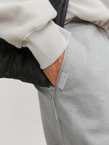 JACK & JONES Tapered Trousers in Grey