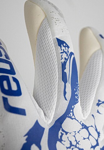 REUSCH Sporthandschoenen 'Pure Contact Silver' in Blauw