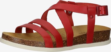 Kickers Mules in Red: front
