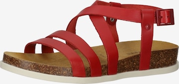 Kickers Pantolette in Rot: predná strana