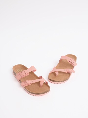 Friends Like These Žabky – pink