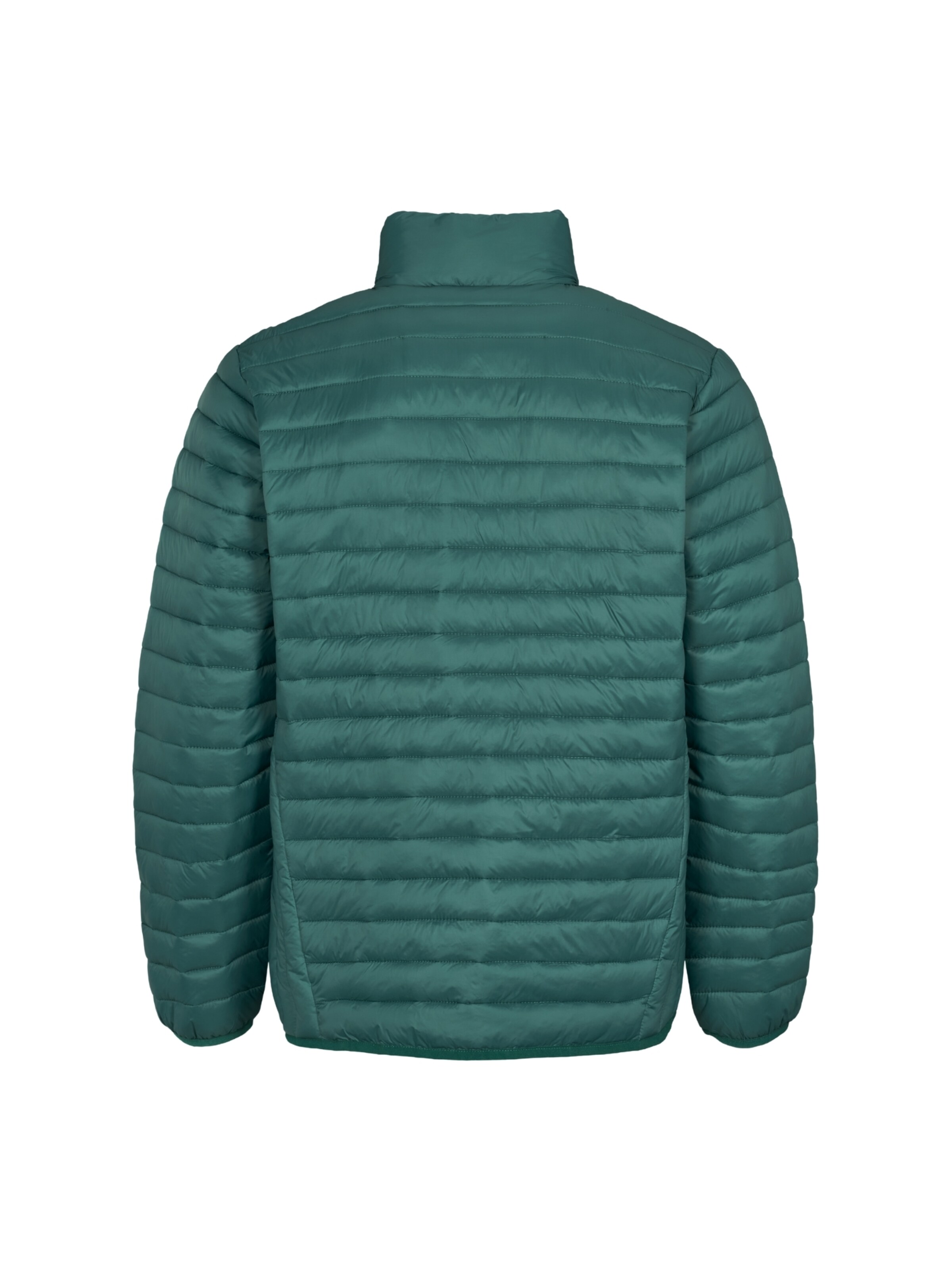 U.S. POLO ASSN. Välikausitakki 'Mark' värissä vihreä