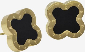 Lenoites Earrings 'Four-leaf Clover 2' in Gold: front