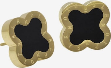 Lenoites Oorbellen 'Four-leaf Clover 2' in Goud: voorkant