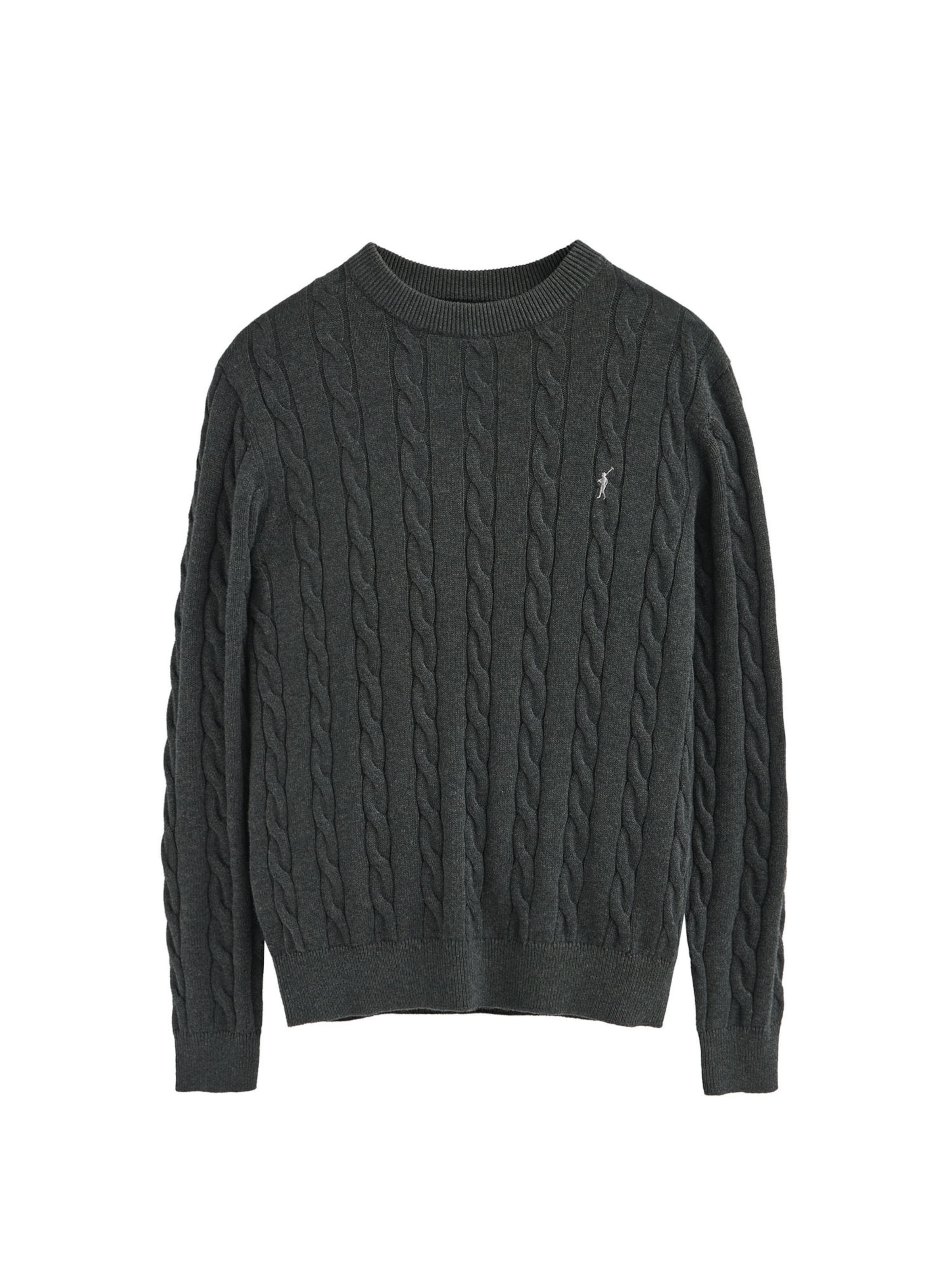 Polo Club Pullover in Grau: Vorderseite