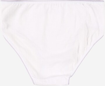 OVS Underpants in Mixed colors