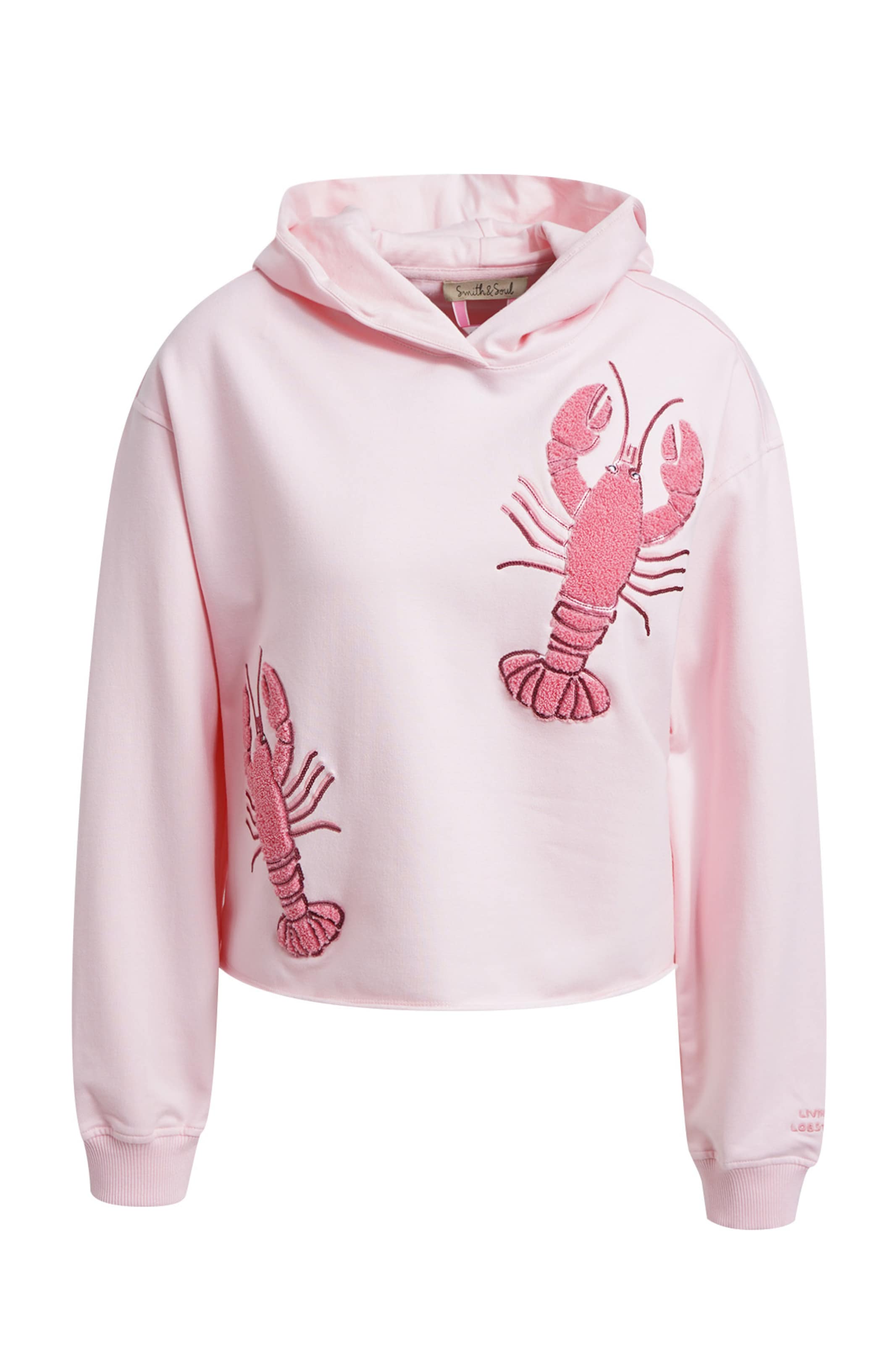 Smith&Soul Sweatshirt in Pink: front