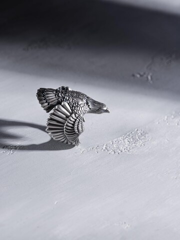 REYTEL - Anillo 'THE EAGLE' en plata: frente