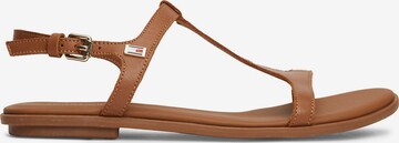 TOMMY HILFIGER - Sandalias con hebilla en marrón