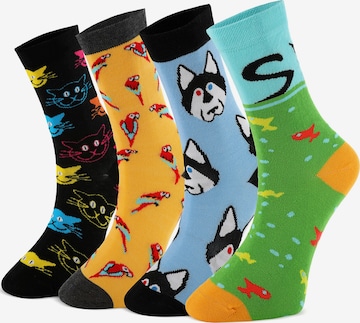 Crea Socks Sukat 'Lustige' värissä monivärinen: etupuoli