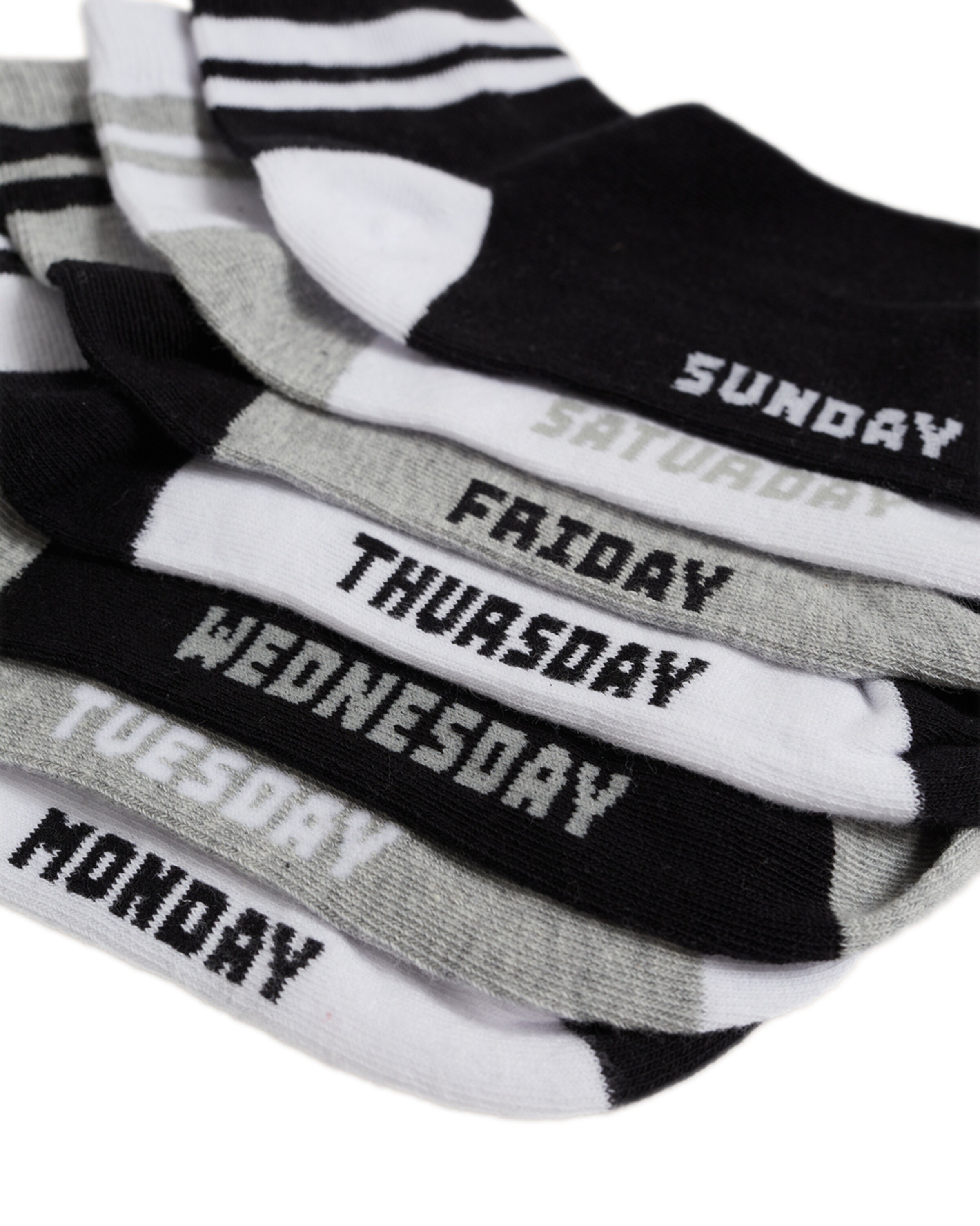 WE Fashion Socks in Grey