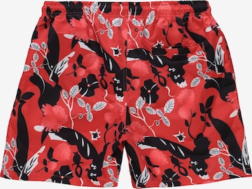 Shorts de bain JAY-PI en mélange de couleurs