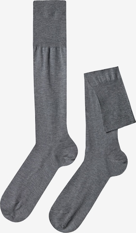 CALZEDONIA Knee High Socks in Grey: front