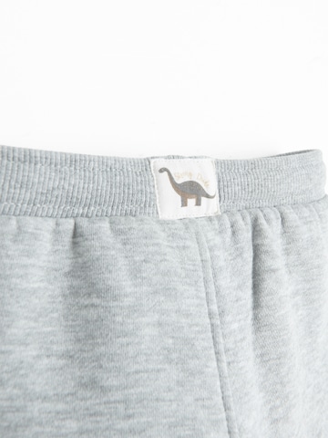 Cool Club Barrel Штаны в Серый