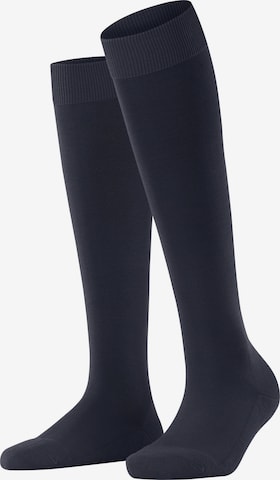 FALKE Knee High Socks 'ClimaWool' in Blue: front