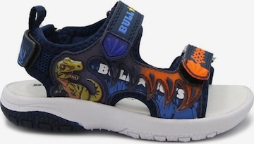 Bull Boys Sandalen in Blauw: voorkant