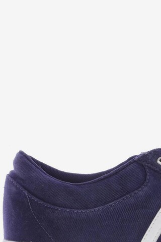 K-SWISS Sneaker 46 in Blau