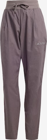 ADIDAS TERREX Outdoor Pants 'Xploric' in Brown: front