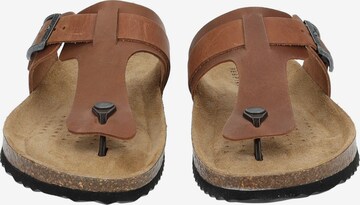 GEOX Teenslippers in Bruin