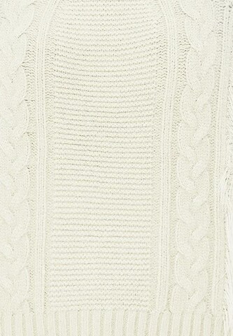 Poomi Sweater in White