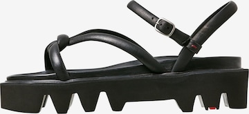 LLOYD Sandalen met riem in Zwart: voorkant