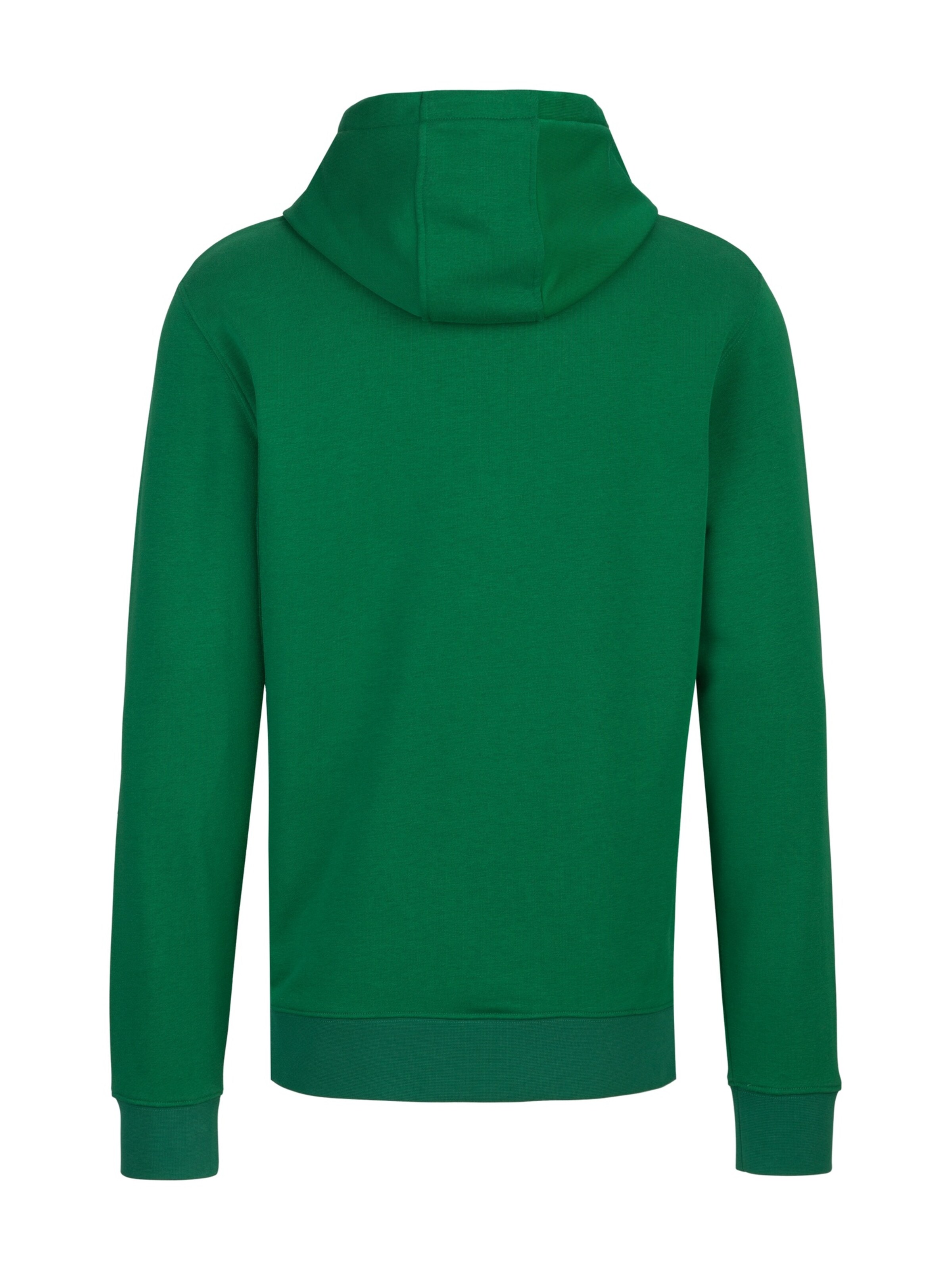 19V69 ITALIA Sweatshirt 'Matteo Tennis 3' in Green