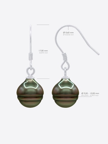 Ateliers Saint Germain Earrings 'Nakamo' in Silver