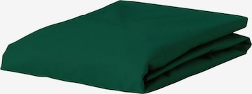 ESSENZA Bed Sheet in Green: front