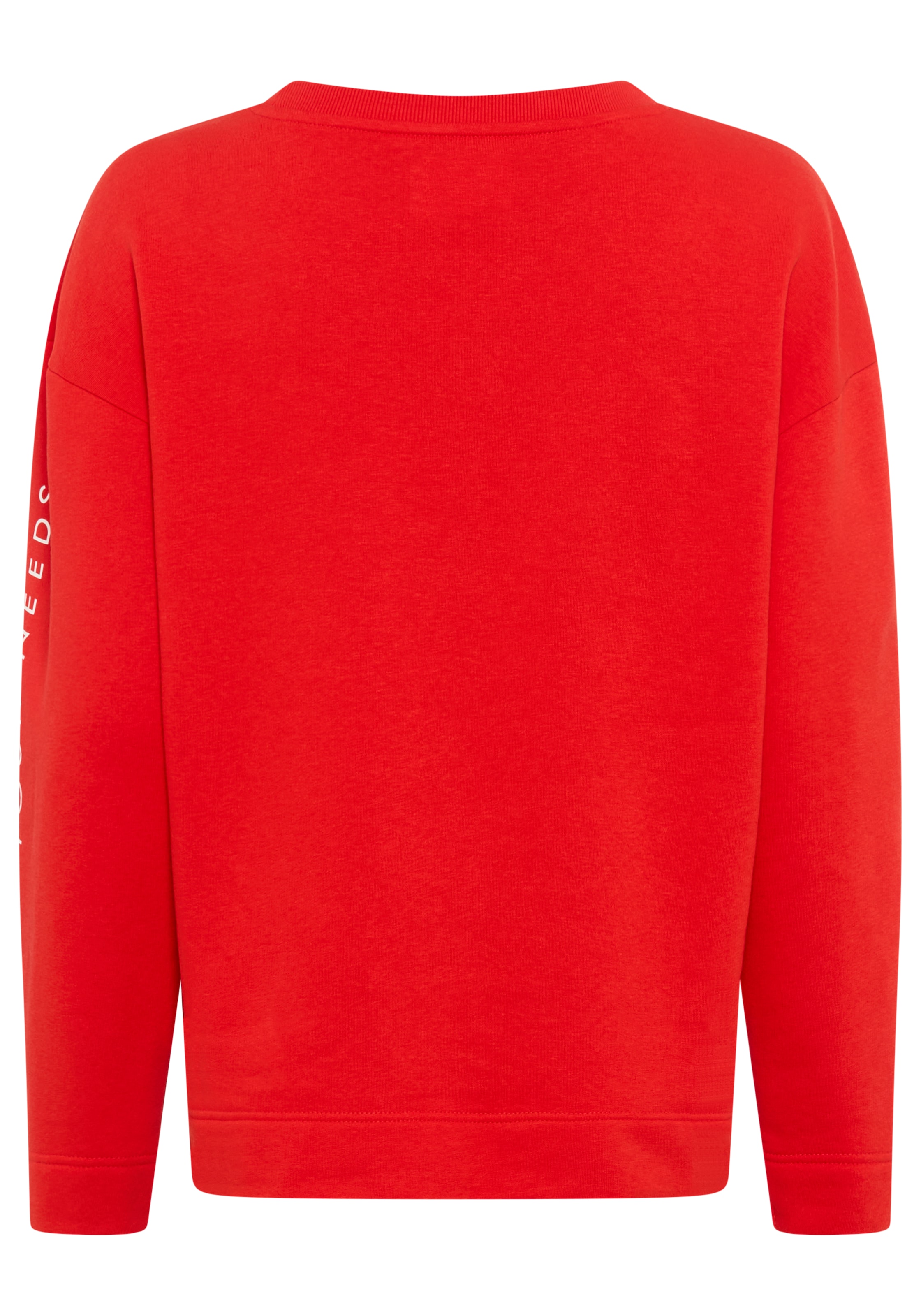 FAYN SPORTS Pullover in Rot