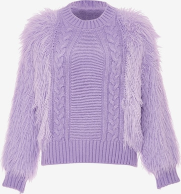 Poomi Sweater in Purple: front