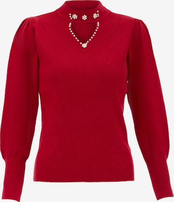 nascita Pullover in Rot: Vorderseite