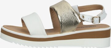 Sandalo con cinturino di IGI&CO in bianco