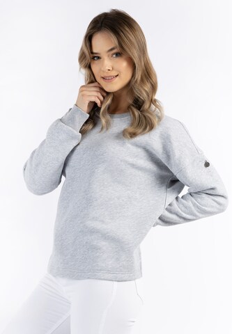 DreiMaster Vintage Sweatshirt 'Idem' i grå: forside