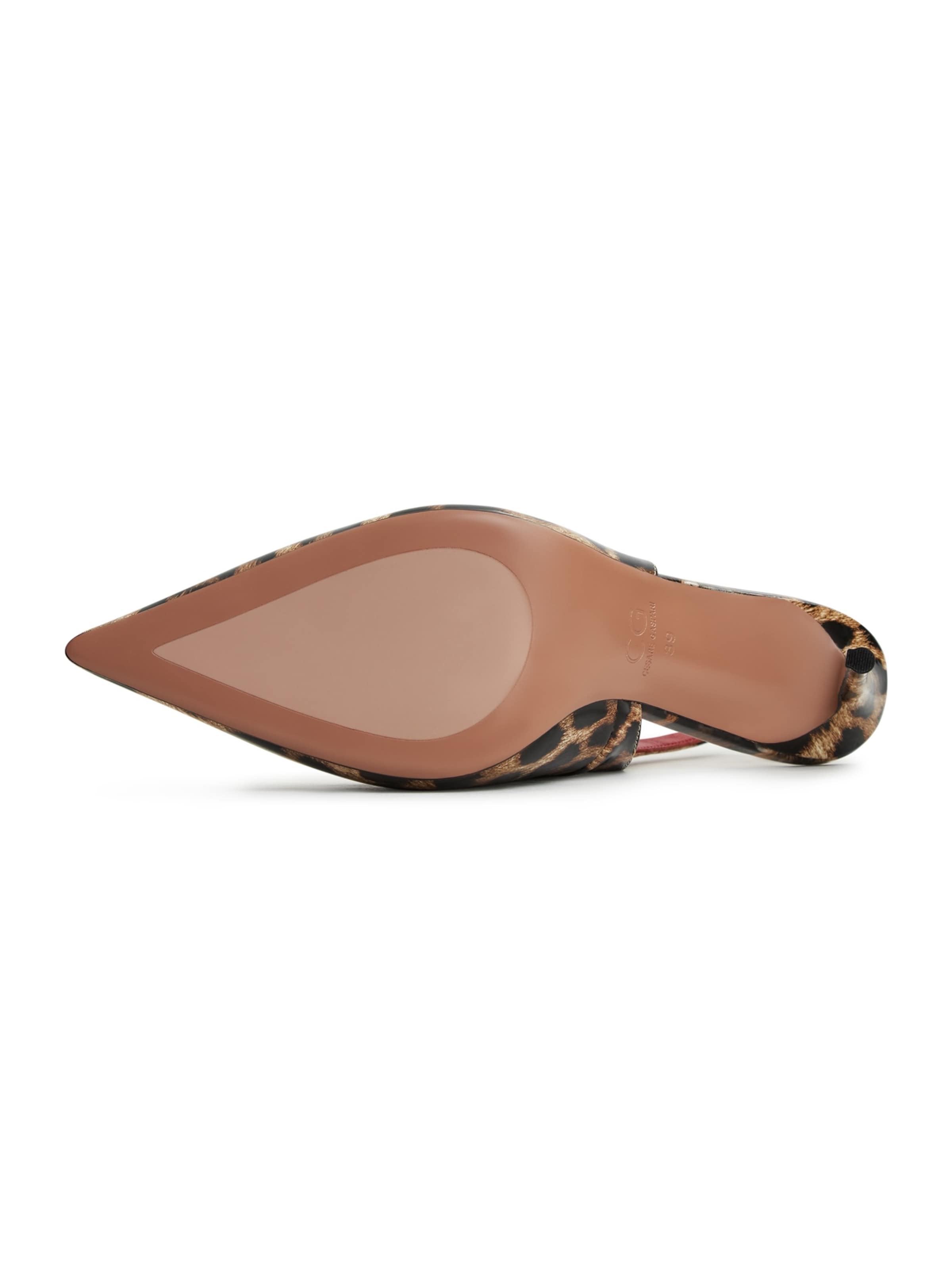 CESARE GASPARI Pumps in Brown