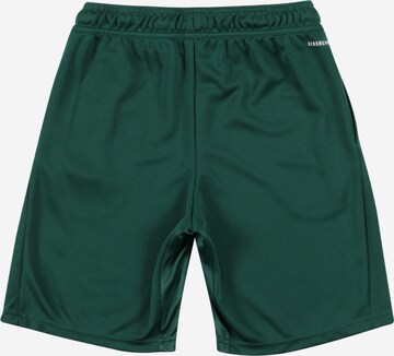 ADIDAS PERFORMANCE Regular Sportshorts in Grün